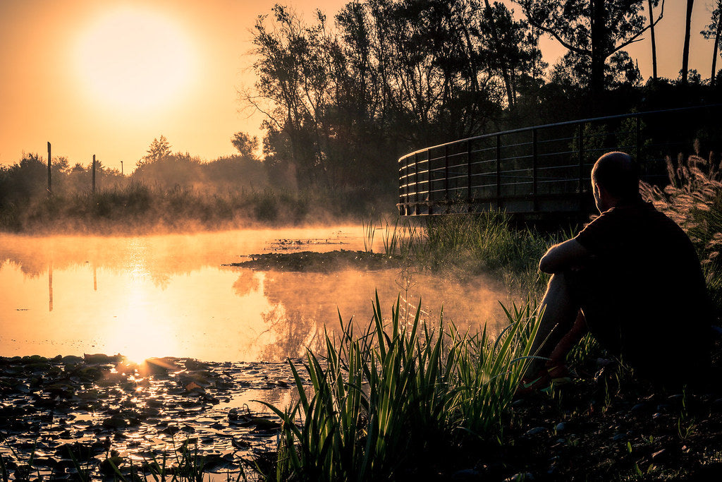 Person sitting by misty lake at sunrise, sauna and brain health